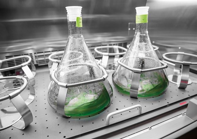 Qué es el ‘Audi e-diesel’