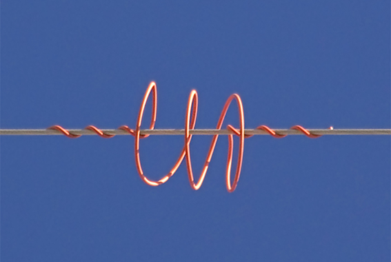 Implementan más de 400 salvapájaros en Formentera