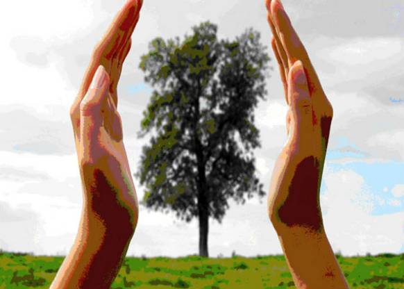 Celebrado un webinar sobre cómo cumplimentar los apartados económicos-financieros del formulario de participación de los Premios Red emprendeverde