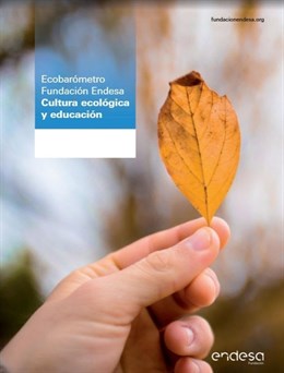 El 54% de los jóvenes de 18 a 35 cree que no ha aprendido suficiente de medio ambiente y energía en el colegio