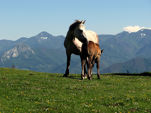 Espacios naturales protegidos