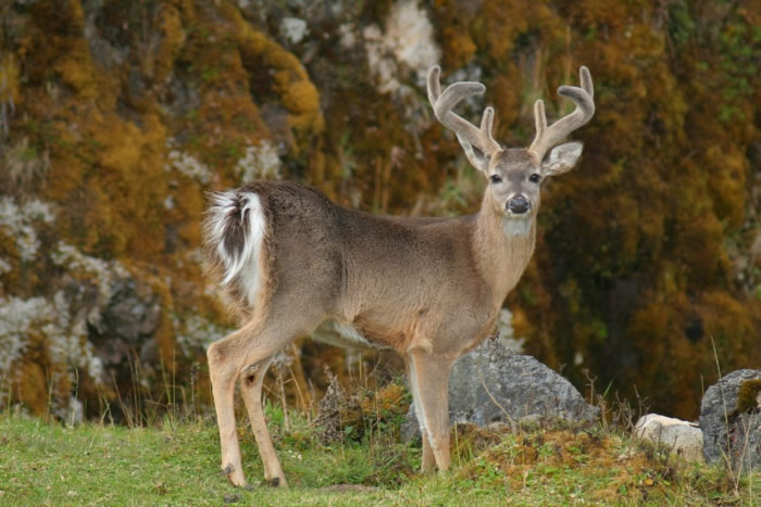 Ministra Beatriz Uribe hace llamado a cuidar riqueza biológica del país