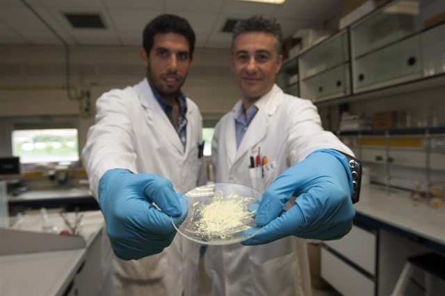 Impacto internacional de la investigación sobre compuestos protectores frente a radiación solar de un grupo de la UR