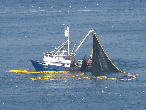 Alta participación en la reunión número 31 del Comité Técnico de Udalsarea 21 celebrada en Durango
