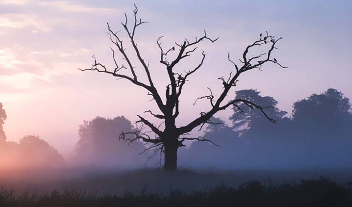 España se pasa los límites de ozono por el ‘arco del triunfo’