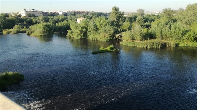 Ecologistas en Acción cree que "el río tardará en recuperarse