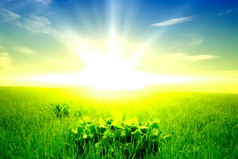 El futuro de las energías renovables a debate en Finlandia