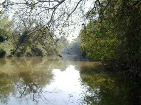 Advierten de un nuevo vertido en el río Guadaíra a su paso por Alcalá