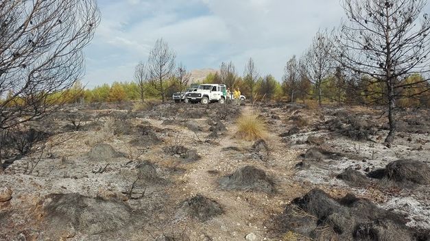 Liquidado el incendio forestal de Jódar (Jaén)