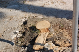 Jerez de la Frontera