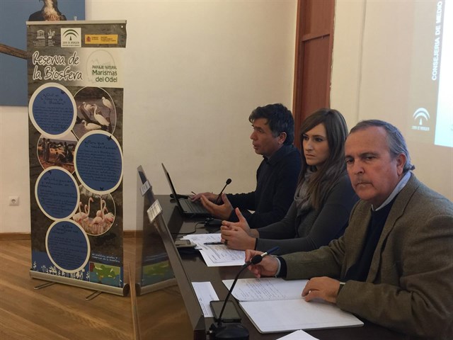 Marismas del Odiel ‘clave’ para la invernada de aves acuáticas en Huelva