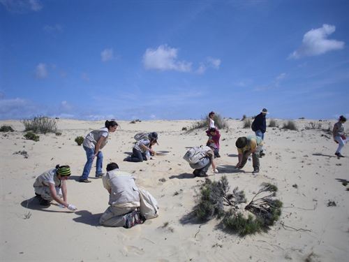 La Junta celebra en el Cerro de los Ánsares el Día Mundial de las Aves con la recogida de perdigones de plomo