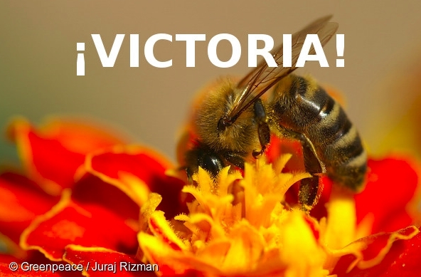 ¡Buenas noticias! Europa se despide del fipronil en la agricultura #SOSabejas