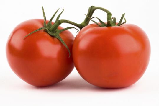 Genes repetidos del tomate explicarían su proceso evolutivo