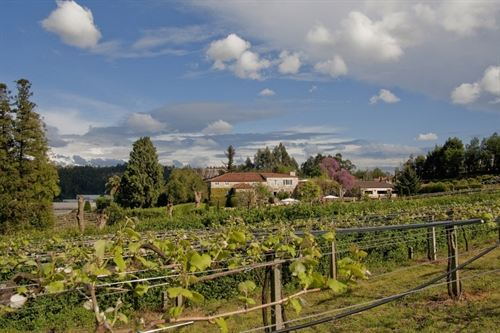 Galicia. Pazo de Señorans instala un innovador sistema de gestión de aguas residuales basado en principios biológicos