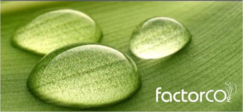 Factor CO2 gana el Premio Buber 2014