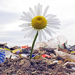En pocos días comienza el curso de la Cátedra Ecomebes