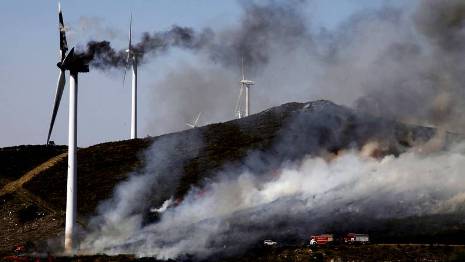 Reforestarán 40 hectáreas del monte Tremuzo