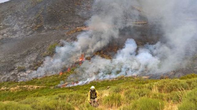 La Garganta de los Infiernos se recuperará ‘rápidamente’ del incendio del verano