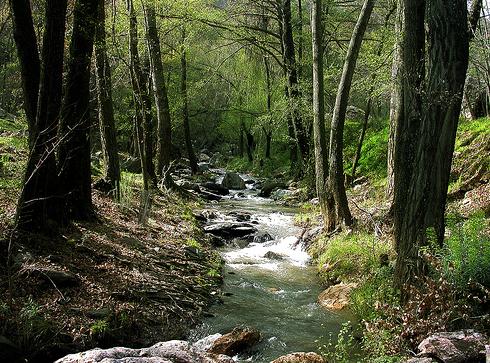 Cerca de 500 personas participaron en el programa de voluntariado ambiental organizado por el CRANA el pasado año
