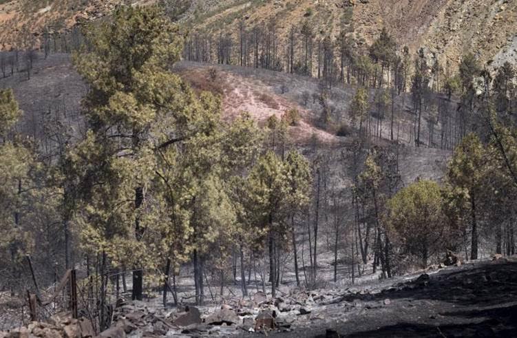 Controlado el incendio forestal declarado en Minas de Riotinto (Huelva)
