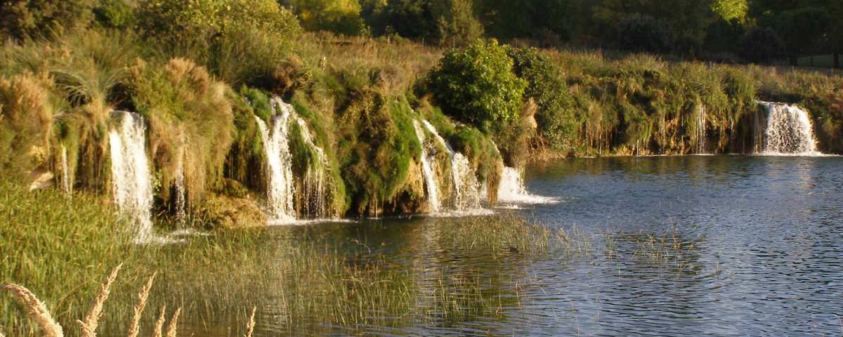 12 propuestas para un 2017 más respetuoso con el medio ambiente y las personas