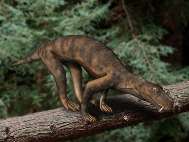 Rastro de un tumor en un ancestro de mamífero de 255 millones de años