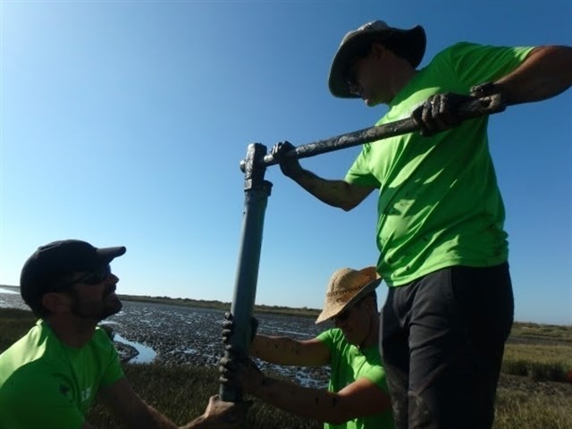 Cuánto carbono acumulado hay en las Marismas del Odiel