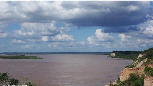 Argentina evacuará un millón de vacas por crecida del río Paraná