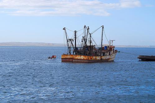 Oceana pide al Govern Balear la prohibición de la pesca de arrastre en la plataforma