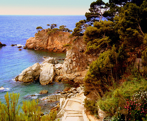 Técnicos medio ambiente UE evalúan la gestión forestal sostenible en Menorca