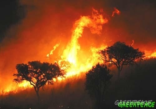 Malas decisiones que nos ahogan en humo y cenizas