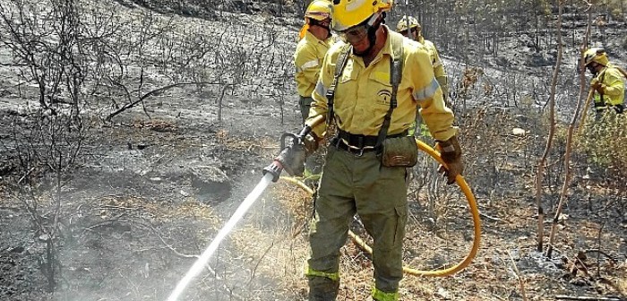 Controlado un incendio en el paraje Los Mimbrales de Almonte