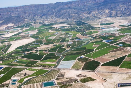 Veinte clases de paisajes conforman el mapa agrario de España