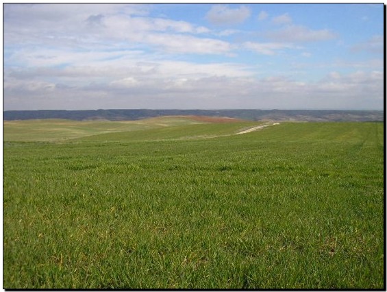 La Comunidad de Madrid declara Zona Especial de Conservación las cuencas del Jarama y Henares