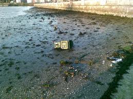 El pleno del Ayuntamiento de A Coruña aprueba una moción para mejorar la situación de la Ría de O Burgo