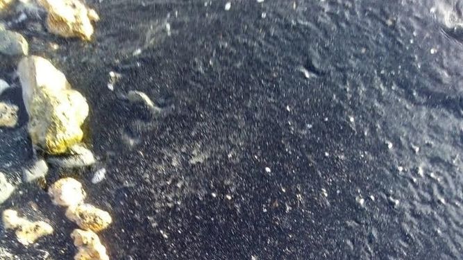 Qué pasa con el ‘Plan Corrector de Vertidos’ de Campo de Gibraltar