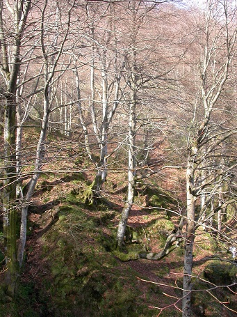 El Principado de Asturias no recoge las alegaciones ambientales para las Ubiñas-la Mesa