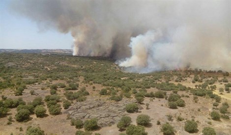 Controlado el incendio forestal declarado en el paraje La Almoraima de Castellar
