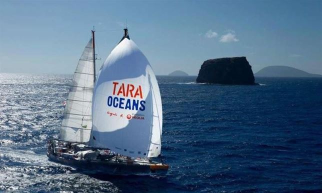 El plancton transporta el carbono al océano profundo