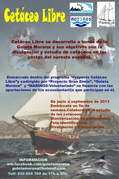 Proyecto gran simio alienta a todos los ciudadanos a participar en “cetáceo libre”