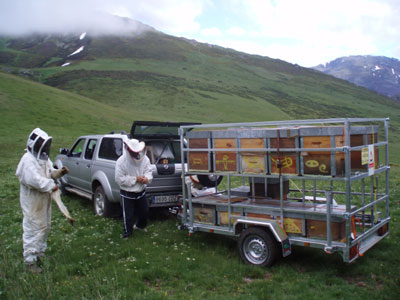 Estaciones móviles de polinización