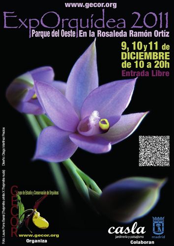 El parque del Oeste (Madrid) acogerá en diciembre una exposición de las orquídeas más curiosas