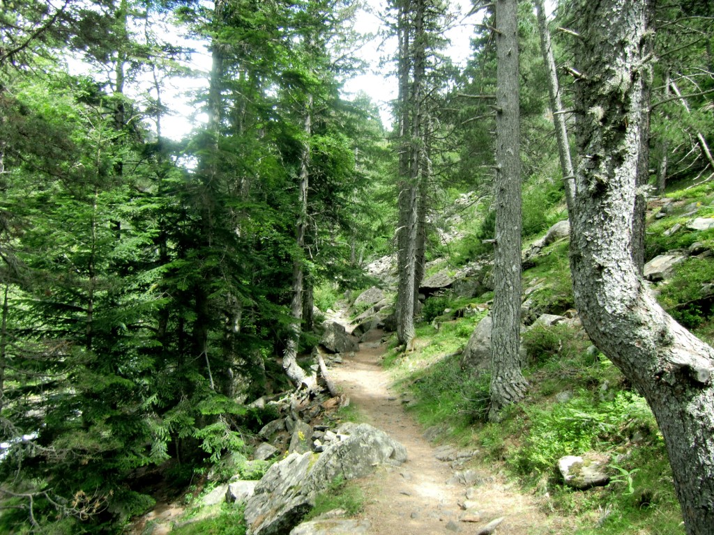 Huesca. Nuevo sendero botánico adaptado a discapacitados