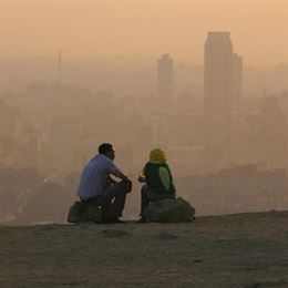 La contaminación ‘mengua’ la vitamina E