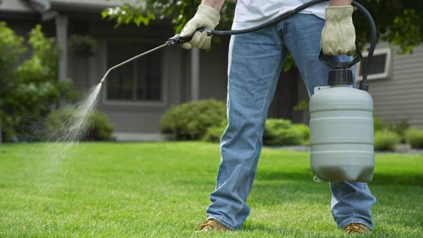 Mérida dice NO al glifosato