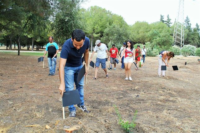 El arboricidio del parque Infanta Elena en Sevilla trae cola