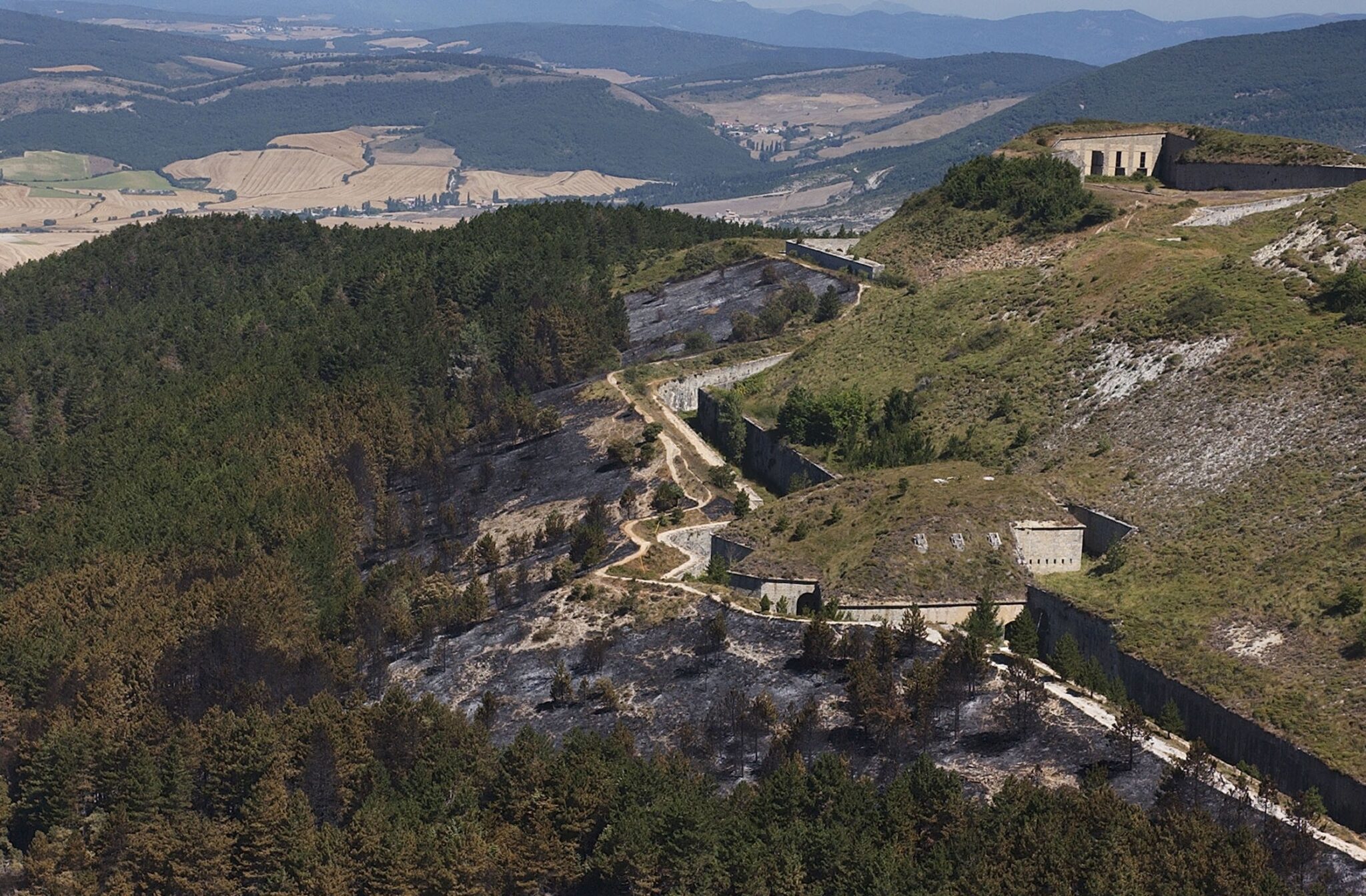 El monte Ezkaba se repuebla con 108 árboles plantados por el párkinson