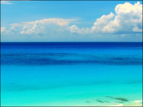 Cumbre del agua de mar