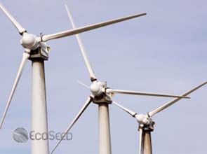 China’s first offshore wind farm finally sends power to grid